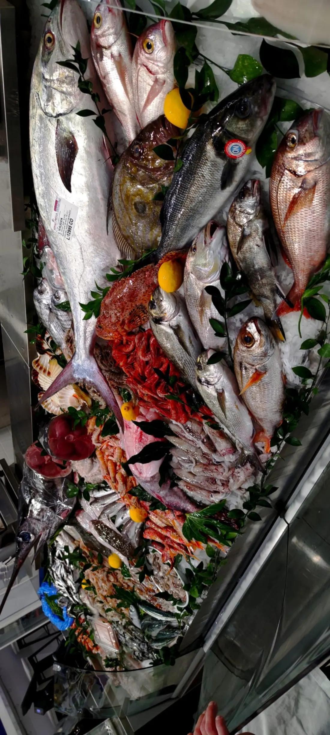 Il banco della pescheria con il pescato del giorno