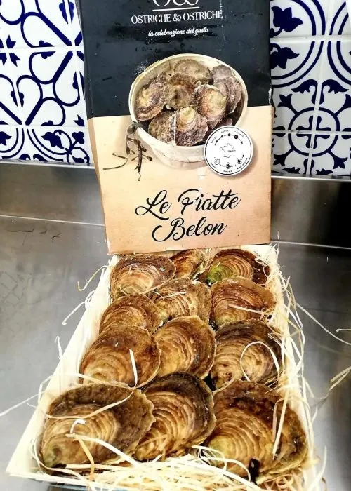 Cassetta di ostriche Le Piatte Belon